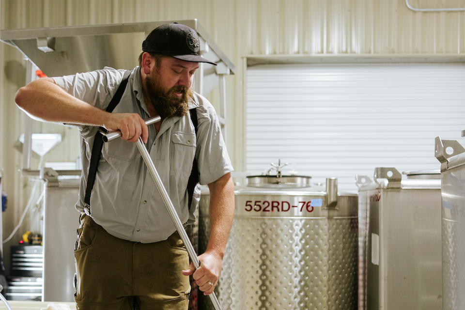 Step Into Harvest: A Behind-the-Scenes Winery Tour